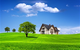 여름, 집, 나무, 필드, 푸른 잔디 HD 배경 화면