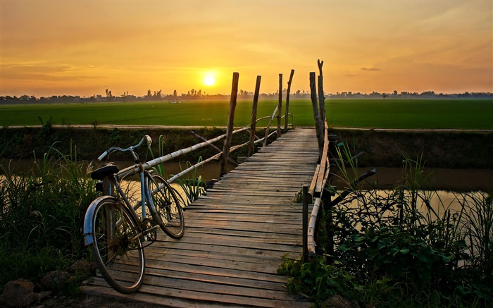 일몰, 자전거, 다리, 잔디, 필드, 강 배경 화면 그림