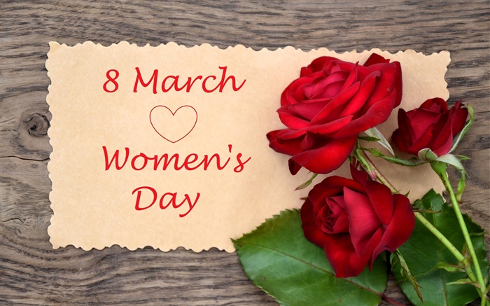 3월 8일, 여성의 날, 붉은 장미 꽃 배경 화면 그림