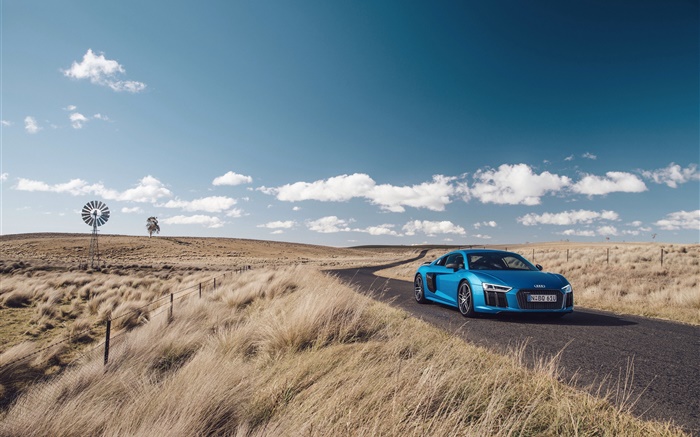 아우디 R8 V10 블루 자동차, 자연, 잔디, 도로 배경 화면 그림