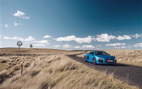 아우디 R8 V10 블루 자동차, 자연, 잔디, 도로 HD 배경 화면