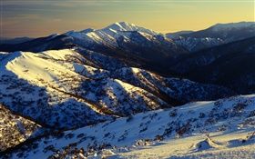 호주, 산, 눈, 경사 HD 배경 화면