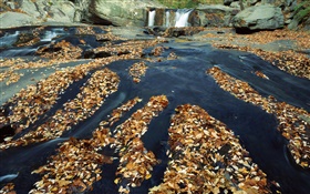 가을, 많은 나뭇잎, 폭포, 개울, 바위 HD 배경 화면