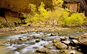 가을, 강, 돌, 나무, 노란 단풍 HD 배경 화면