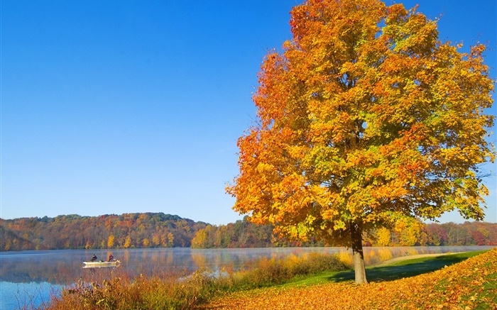 가을, 나무, 노란 잎, 강 배경 화면 그림