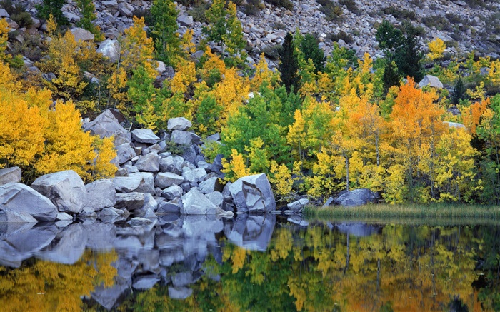 가을, 나무, 바위, 호수, 물 반사 배경 화면 그림
