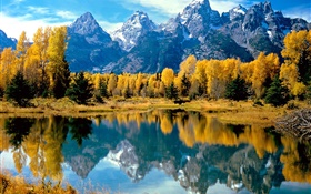 가을, 나무, 노란색, 호수, 산