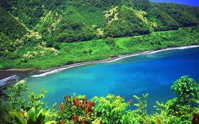 베이, 바다, 산, 녹색 식물, 하와이, 미국 HD 배경 화면