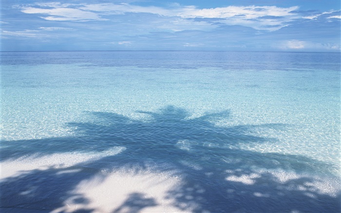 해변, 바다, 야자수 그림자, 몰디브 배경 화면 그림