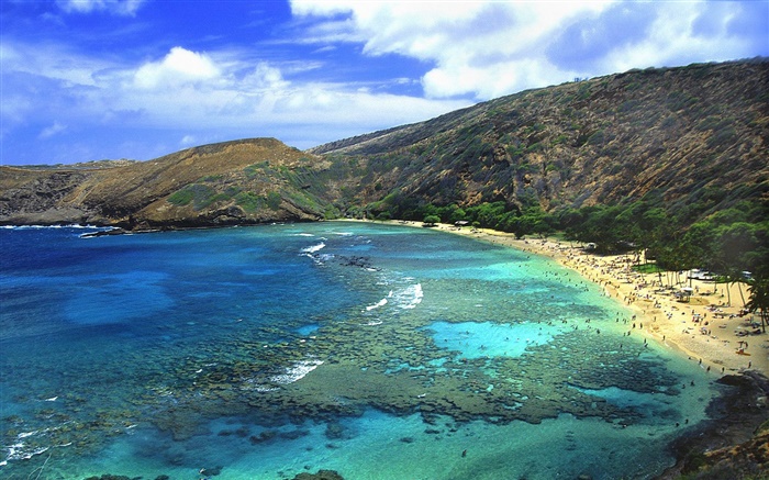 해변, 바다, 사람, 하와이, 미국 배경 화면 그림