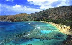 해변, 바다, 사람, 하와이, 미국 HD 배경 화면