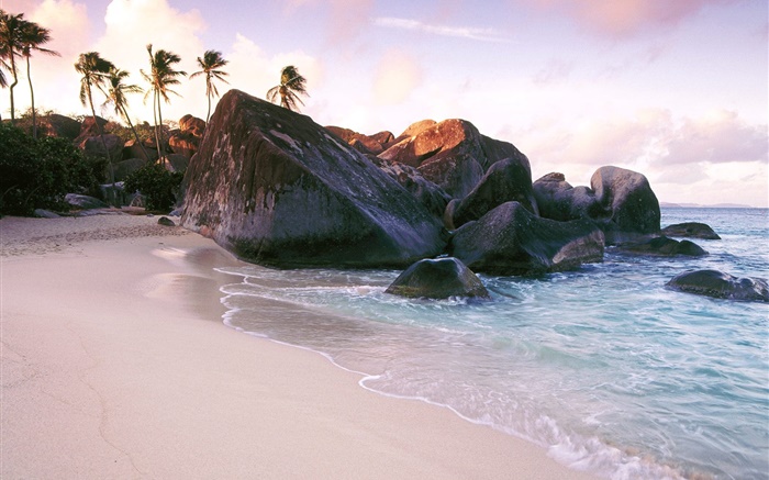 해변, 바다, 돌, 바위, 야자수 배경 화면 그림