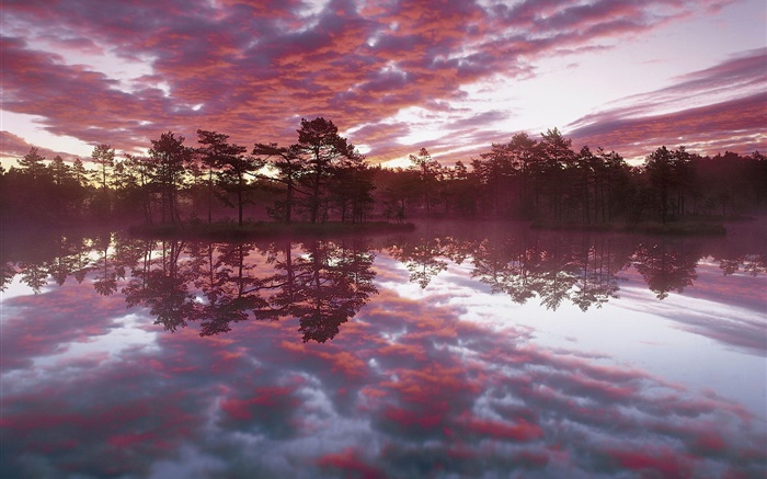 아름다운 황혼, 나무, 호수, 물 반사, 붉은 구름 배경 화면 그림