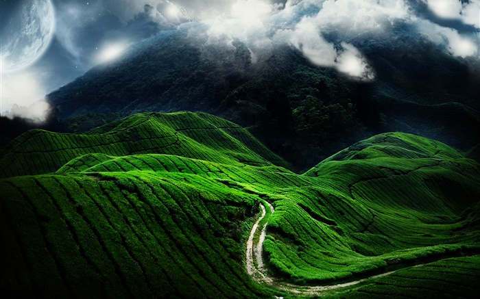 아름 다운 풍경, 녹색 언덕, 도로, 구름 배경 화면 그림