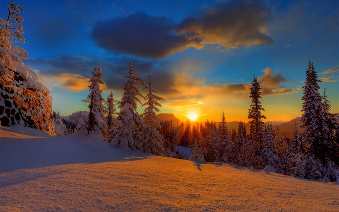 아름다운 일몰, 겨울, 눈, 나무, 황혼 배경 화면 그림