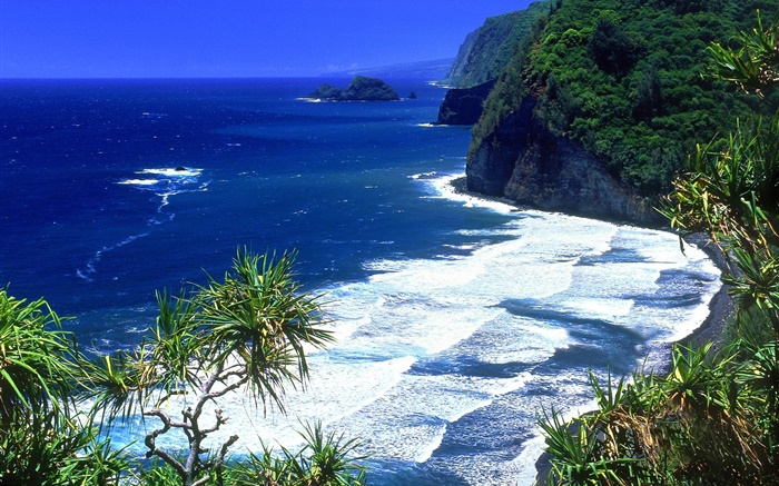 푸른 바다, 해안, 산, 하와이, 미국 배경 화면 그림