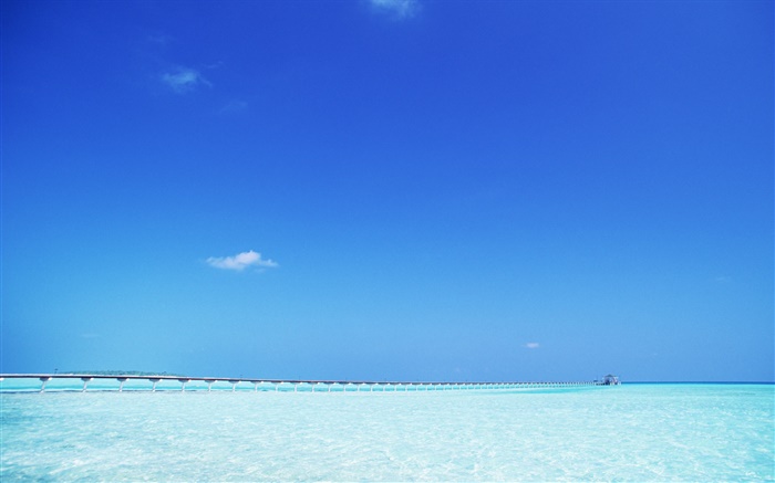 푸른 바다, 부두, 몰디브 배경 화면 그림