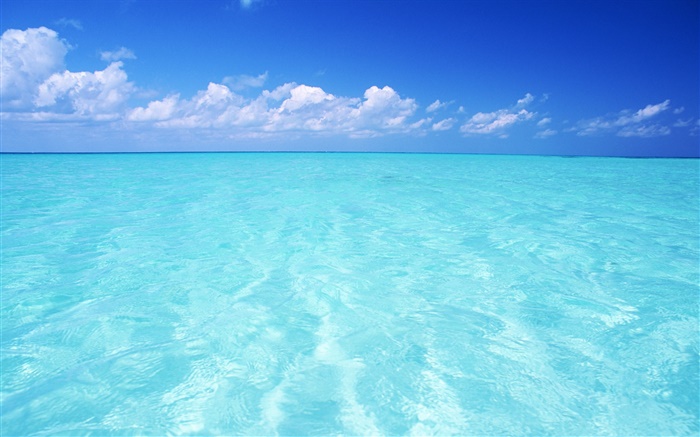 푸른 바다, 하늘, 몰디브 배경 화면 그림