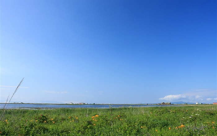 푸른 하늘, 잔디, 해안, 홋카이도, 일본 배경 화면 그림