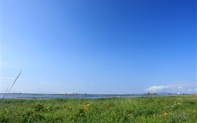 푸른 하늘, 잔디, 해안, 홋카이도, 일본 HD 배경 화면