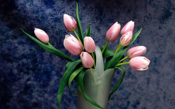 꽃다발, 핑크 튤립 꽃 배경 화면 그림