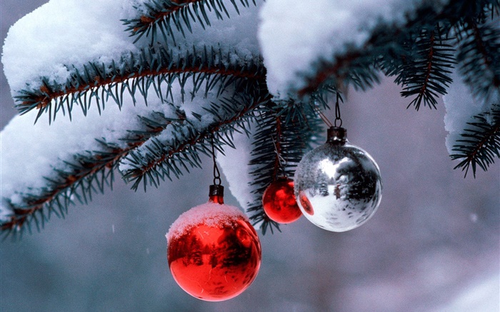 크리스마스 공, 나무, 나뭇 가지, 두꺼운 눈 배경 화면 그림