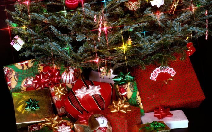 크리스마스 선물, 조명, 소나무 나뭇 가지 배경 화면 그림