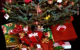 크리스마스 선물, 조명, 소나무 나뭇 가지 HD 배경 화면