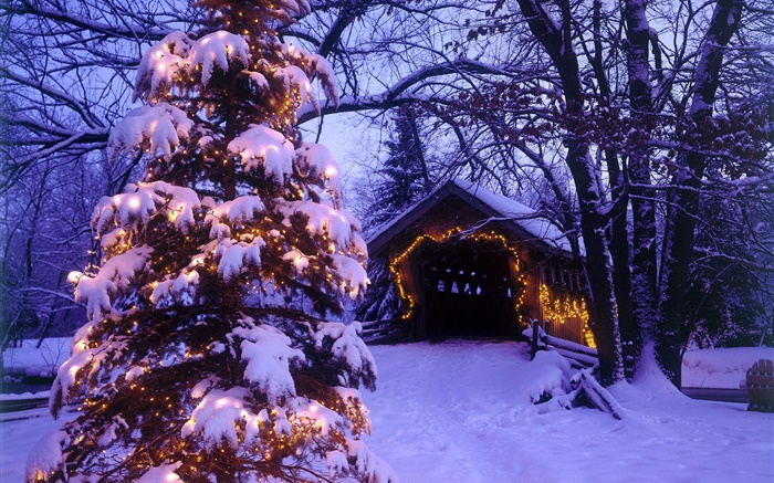 크리스마스 트리, 눈, 집, 나무 배경 화면 그림