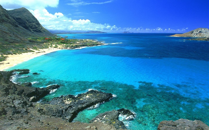 해안, 푸른 바다와 하늘, 하와이, 미국 배경 화면 그림