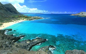 해안, 푸른 바다와 하늘, 하와이, 미국 HD 배경 화면