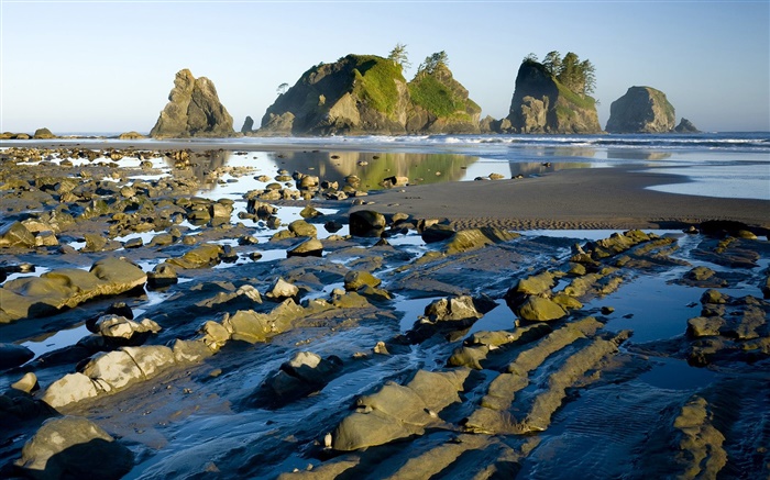 해안, 바위, 물, 황혼 배경 화면 그림