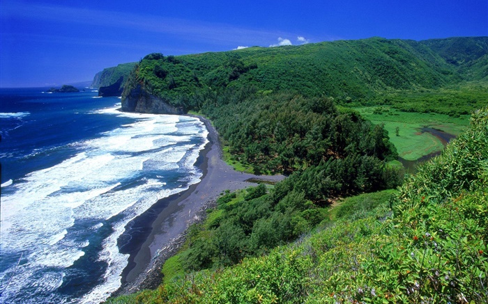 해안, 바다, 해변, 하와이, 미국 배경 화면 그림