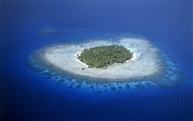 산호초, 미크로네시아, 바다, 섬 HD 배경 화면