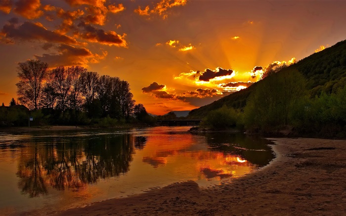 새벽, 아침, 일출, 강, 나무, 붉은 하늘, 구름 배경 화면 그림