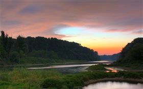 새벽, 강, 나무, 일출, 안개 HD 배경 화면