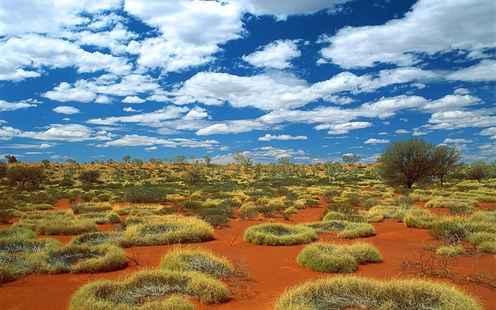 사막, 잔디, 구름, 호주 배경 화면 그림