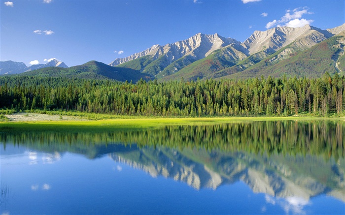 개 호수, 산, 숲, 쿠트 니 국립 공원, 브리티시 컬럼비아, 캐나다 배경 화면 그림