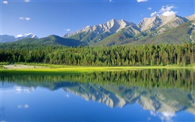 개 호수, 산, 숲, 쿠트 니 국립 공원, 브리티시 컬럼비아, 캐나다 HD 배경 화면
