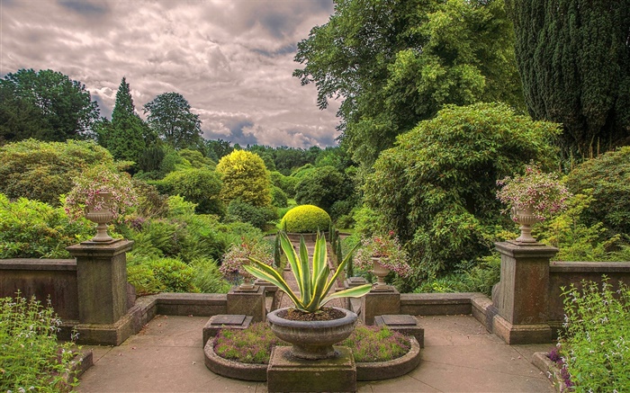 잉글랜드, 공원, 꽃, 관목 배경 화면 그림