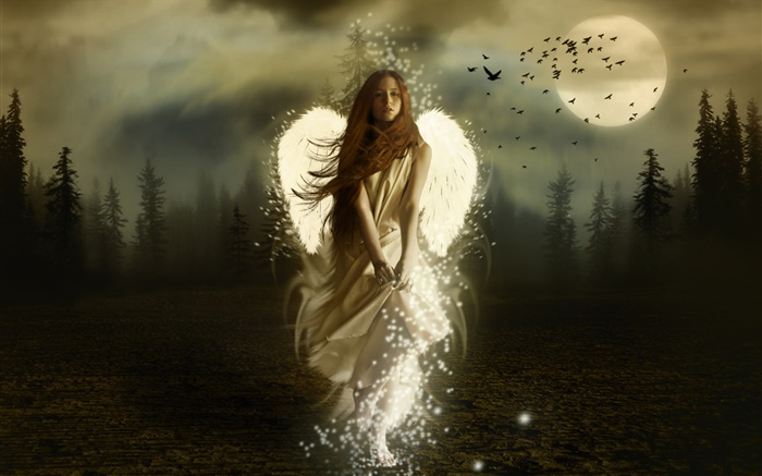판타지 천사 소녀, 흰색 날개, 밤, 달, 새 배경 화면 그림