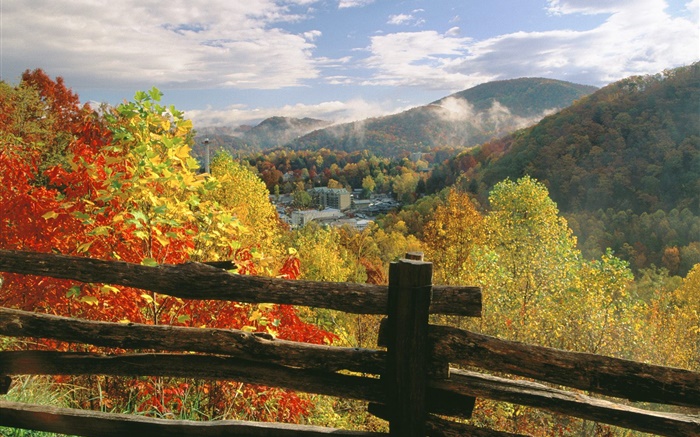 울타리, 가을, 나무, 집 배경 화면 그림