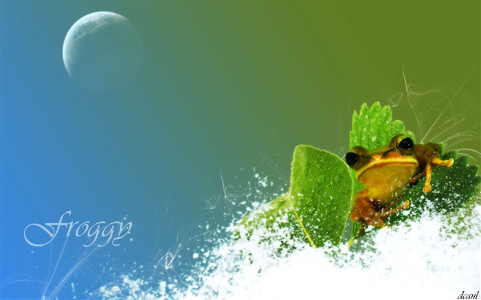개구리, 눈, 녹색 잎, 창조적 인 사진 배경 화면 그림