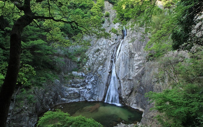 자연, 폭포, 절벽, 호수, 나무, 홋카이도, 일본 배경 화면 그림