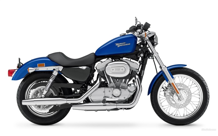 할리 데이비슨 883 오토바이, 파란색과 검정색 배경 화면 그림