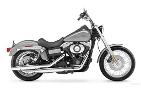 할리 데이비슨 오토바이, 검은 색과 회색 HD 배경 화면