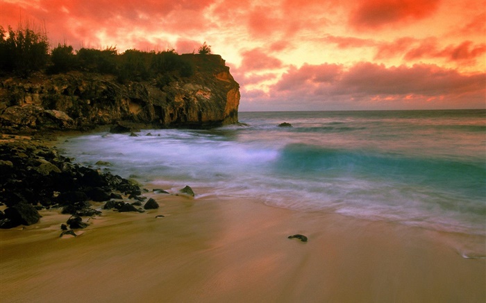 하와이, 미국, 해변, 해안, 바다, 붉은 하늘, 일몰 배경 화면 그림