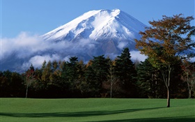 일본의 후지산, 눈, 나무, 잔디, 안개