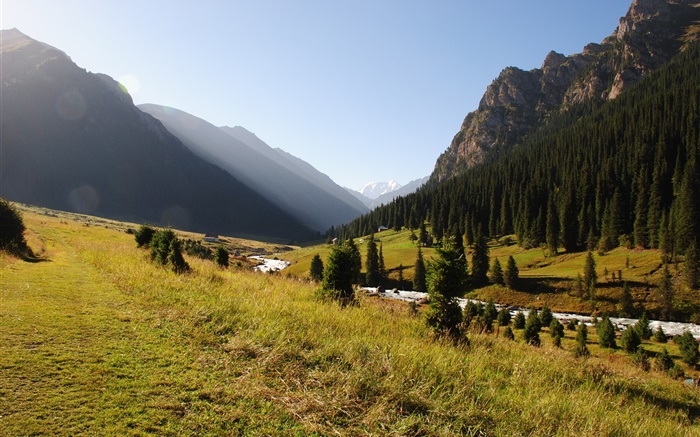 키르기스스탄, 숲, 나무, 산, 아침, 잔디, 강 배경 화면 그림