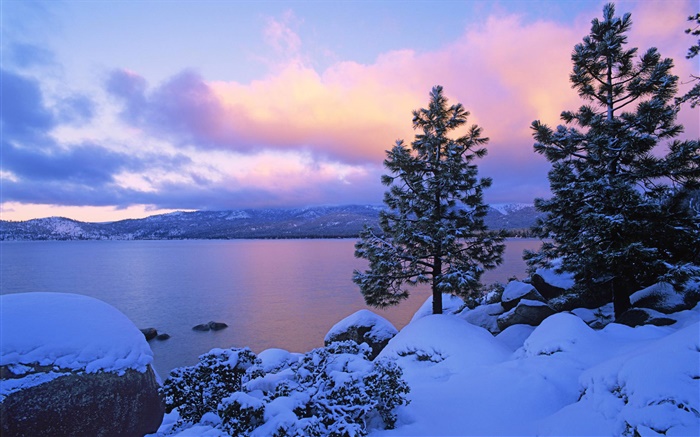 레이크 타호, 겨울, 눈, 나무, 황혼, 미국 배경 화면 그림